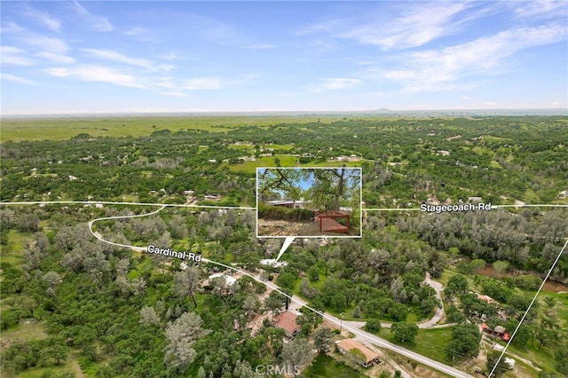 birds eye view of property with a view of trees