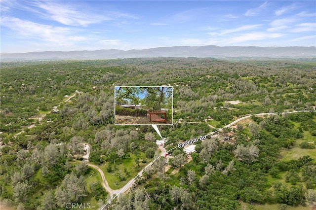 bird's eye view featuring a view of trees and a mountain view