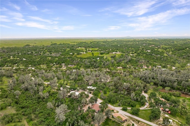 bird's eye view with a wooded view
