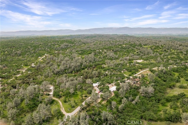 birds eye view of property with a forest view and a mountain view