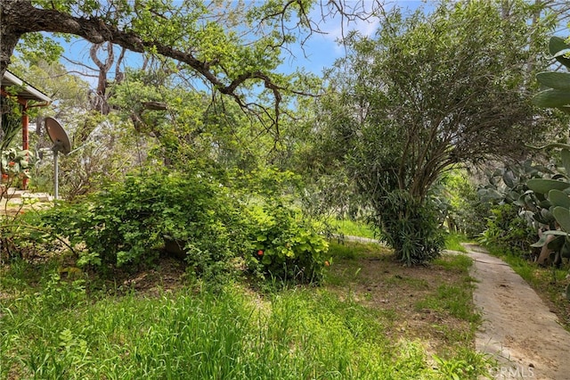 view of landscape