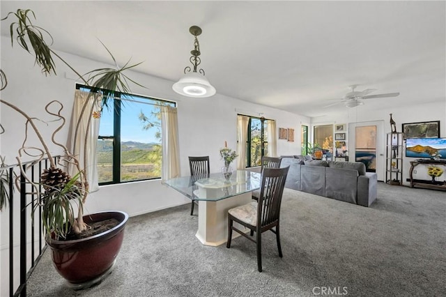 dining room with ceiling fan and carpet