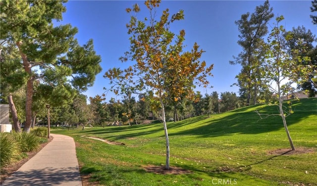surrounding community featuring a lawn