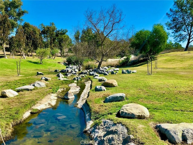 surrounding community featuring a yard