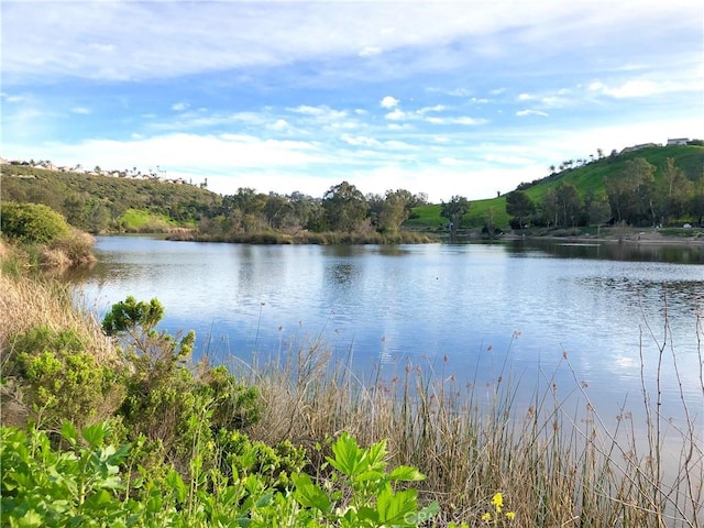 view of water feature
