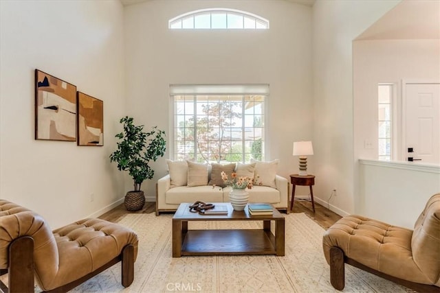 living area featuring a wealth of natural light, baseboards, and wood finished floors