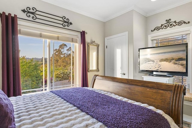 1078 Rainbow Crest Rd, Fallbrook, CA 92028 - bedroom with multiple windows, crown molding, and access to exterior