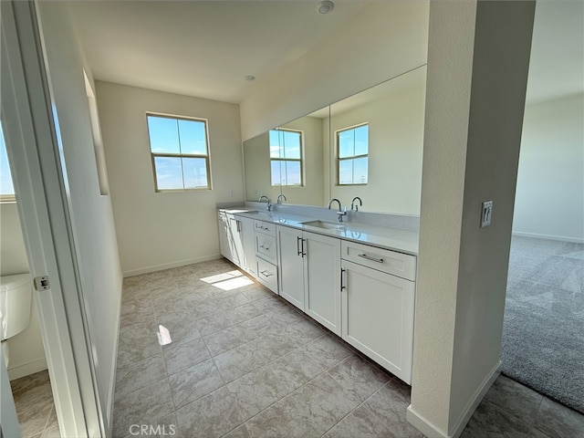 bathroom with a sink, double vanity, and a healthy amount of sunlight