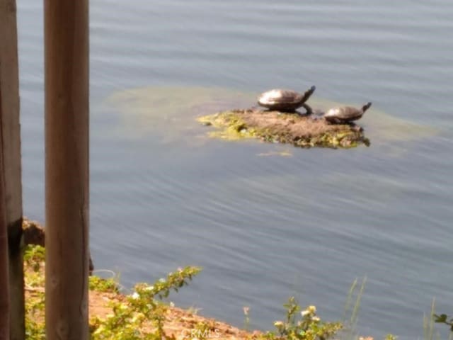 view of water feature