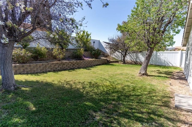 view of yard with a fenced backyard