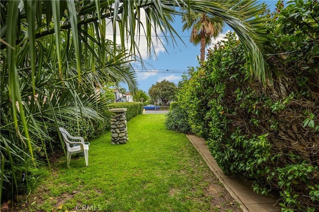 755 E 11th St, Pomona, CA 91766 - view of grassy yard