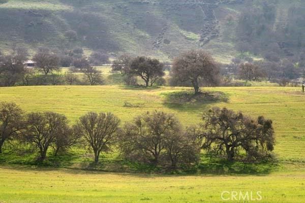 0 Nickel Creek Rd, San Miguel, CA 93451 - photo 5