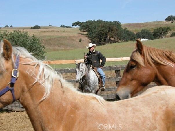 0 Nickel Creek Rd, San Miguel, CA 93451 - photo 8