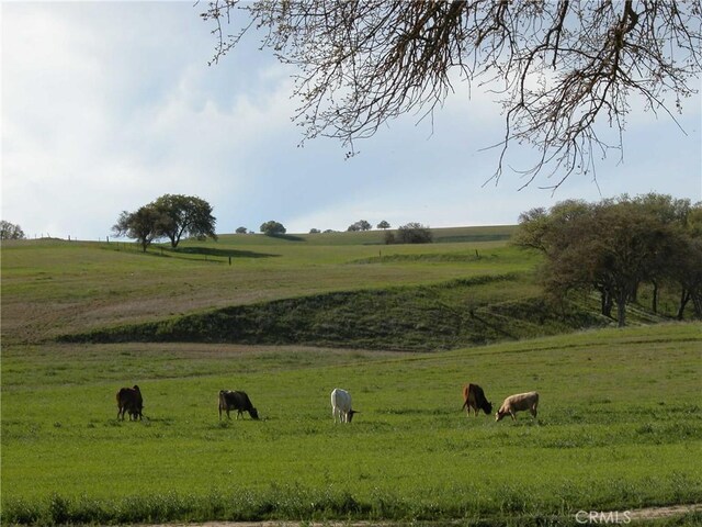 0 Nickel Creek Rd, San Miguel, CA 93451 - photo 3