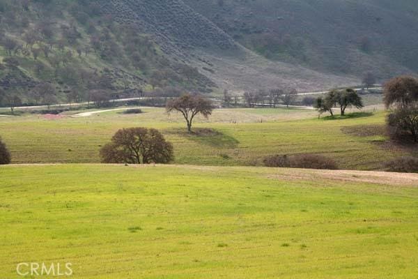 0 Nickel Creek Rd, San Miguel, CA 93451 - photo 6