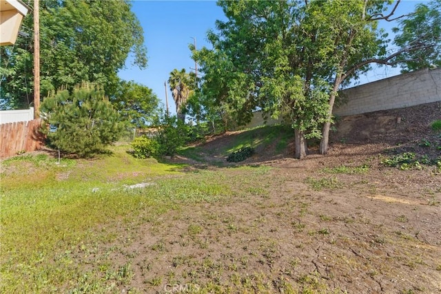 view of yard featuring fence