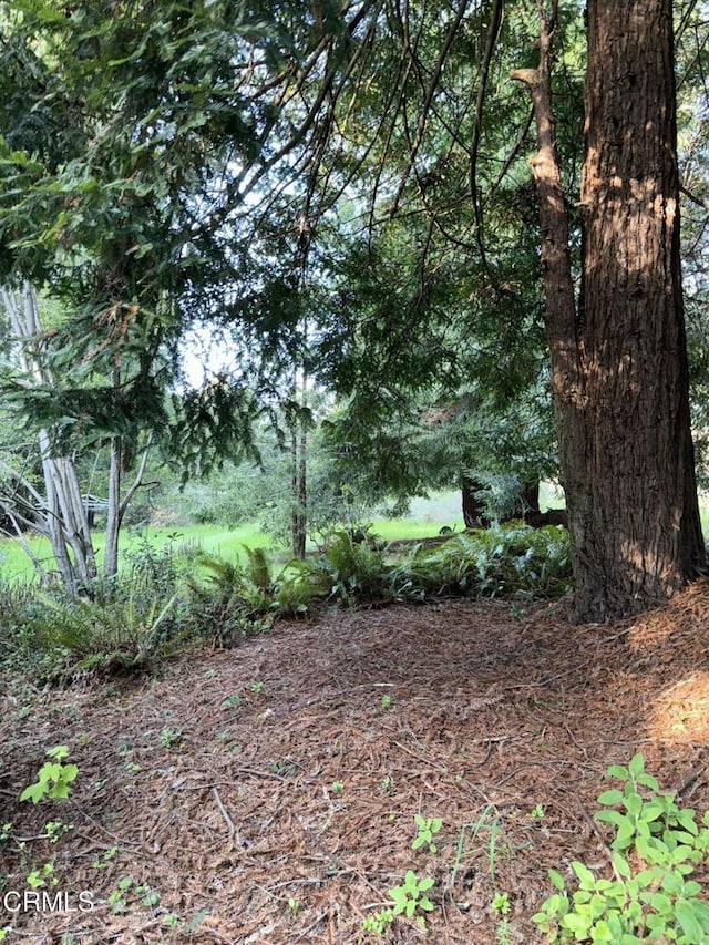view of nature