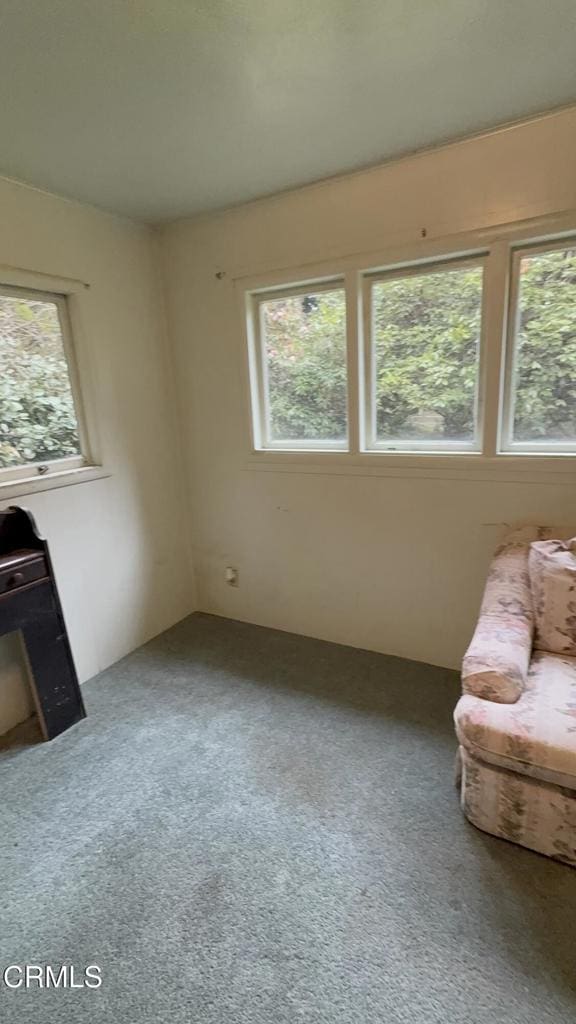 carpeted living area with a wealth of natural light