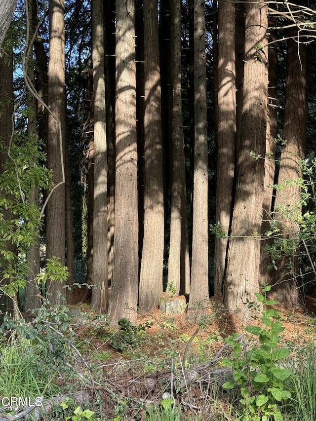 view of nature