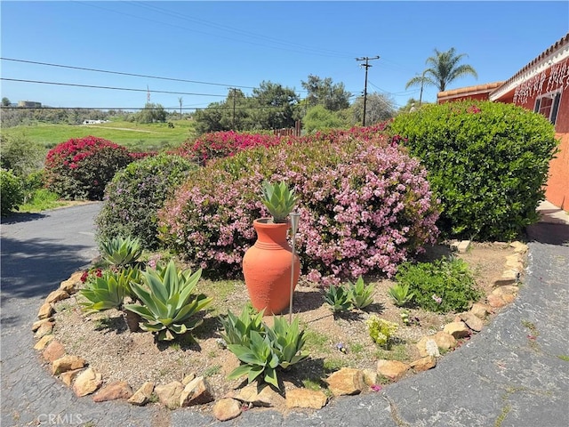9040 W Lilac Rd, Escondido, CA 92026 - photo 3
