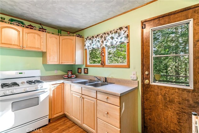 26481 Alpine Ln, Twin Peaks, CA 92391 - photo 5