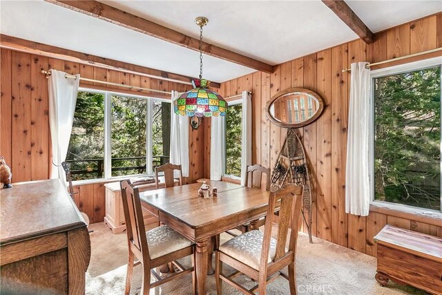 26481 Alpine Ln, Twin Peaks, CA 92391 - photo 4