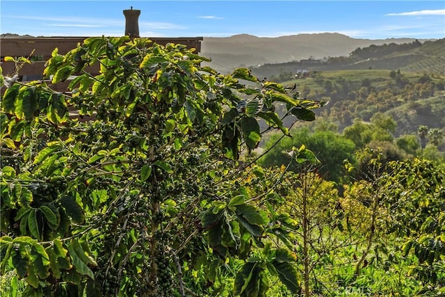 31725 Rancho Amigos Rd, Bonsall, CA 92003 - view of mountain feature