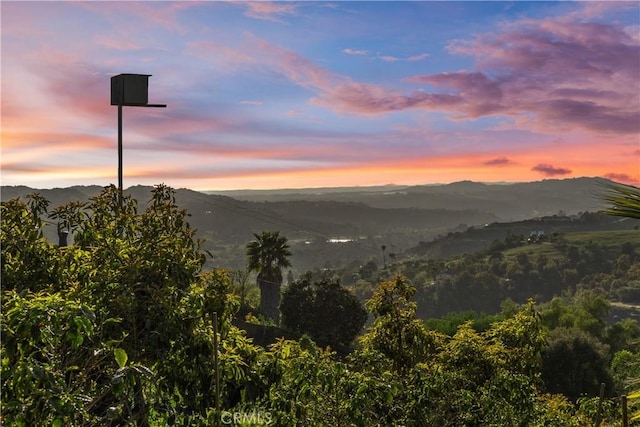 31725 Rancho Amigos Rd, Bonsall, CA 92003 - property view of mountains