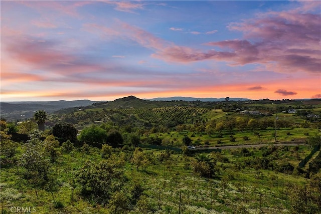 31725 Rancho Amigos Rd, Bonsall, CA 92003 - property view of mountains