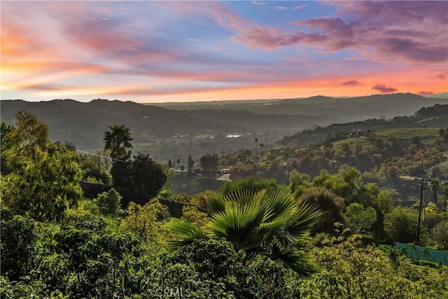 31725 Rancho Amigos Rd, Bonsall, CA 92003 - property view of mountains