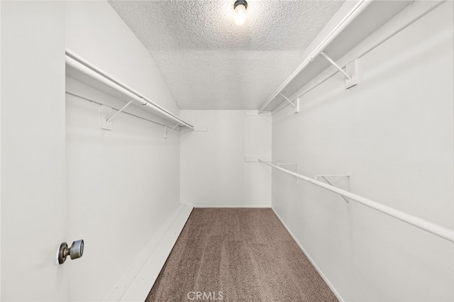1144 N Lyman Ave, Covina, CA 91724 - spacious closet with carpet flooring
