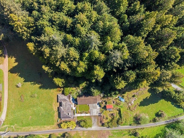 aerial view