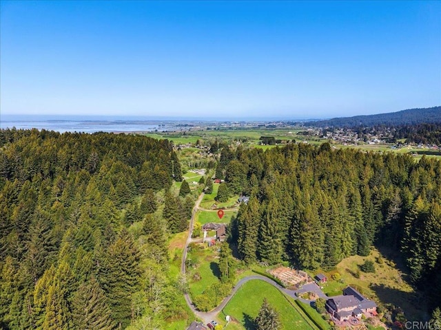 aerial view with a water view and a forest view