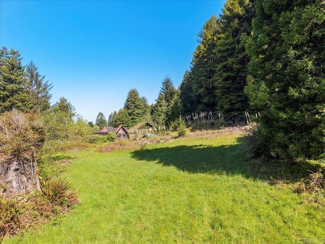 view of yard featuring a forest view