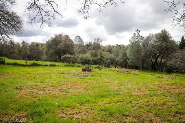 32157 Navajo Ct, Coarsegold, CA 93614 - view of nature featuring a rural view and a view of trees