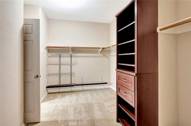 spacious closet with carpet