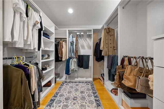 spacious closet featuring light wood finished floors