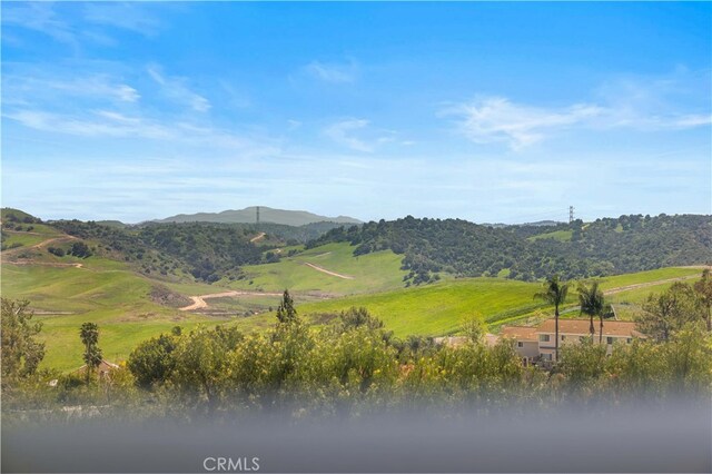 24106 Lodge Pole Rd, Diamond Bar, CA 91765 - photo 33