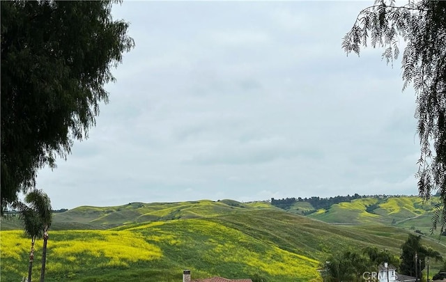 24106 Lodge Pole Rd, Diamond Bar, CA 91765 - photo 38