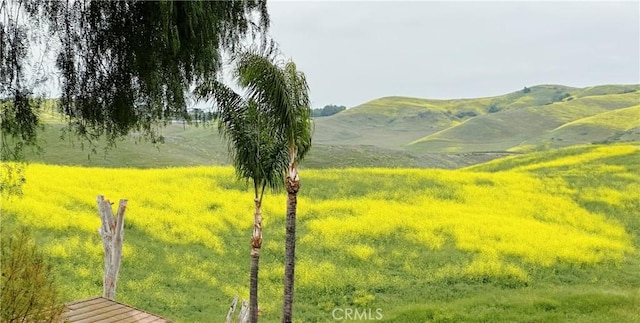 view of mountain backdrop