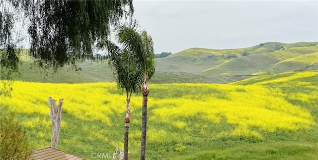 24106 Lodge Pole Rd, Diamond Bar, CA 91765 - photo 37