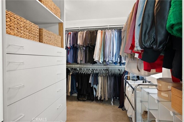 walk in closet featuring carpet