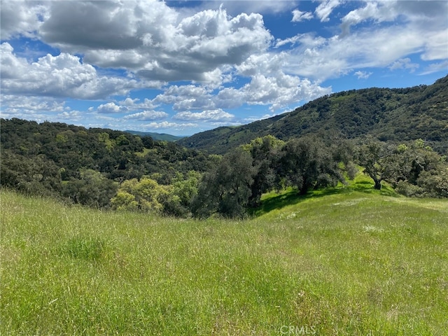 property view of mountains featuring a view of trees