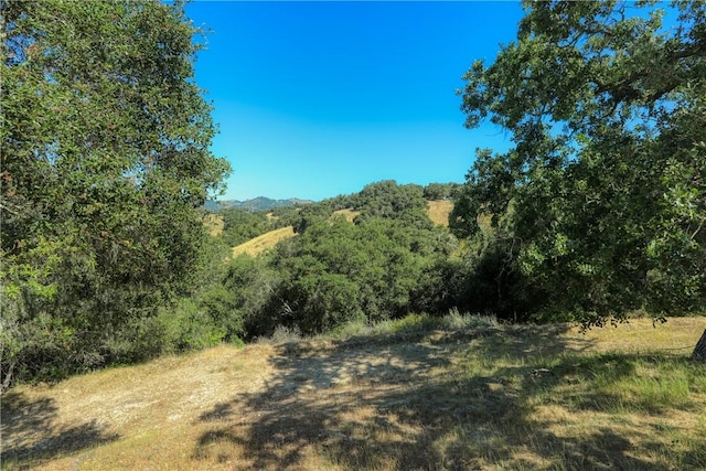 view of nature featuring a forest view