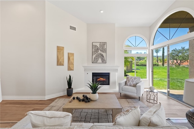 38027 Cherrywood Dr, Murrieta, CA 92562 - living area with wood finished floors, a glass covered fireplace, a towering ceiling, and recessed lighting