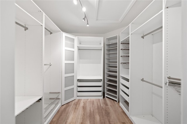 walk in closet featuring wood finished floors