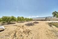 9975 Custer Ave, Lucerne Valley, CA 92356 - view of yard