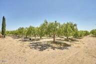 9975 Custer Ave, Lucerne Valley, CA 92356 - view of nature with a rural view