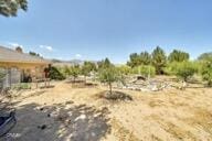 9975 Custer Ave, Lucerne Valley, CA 92356 - view of yard