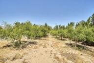 9975 Custer Ave, Lucerne Valley, CA 92356 - view of landscape with a rural view